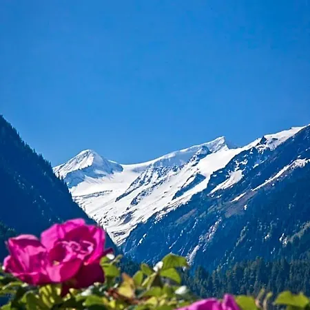 Venedigerblick 3* Neukirchen am Großvenediger