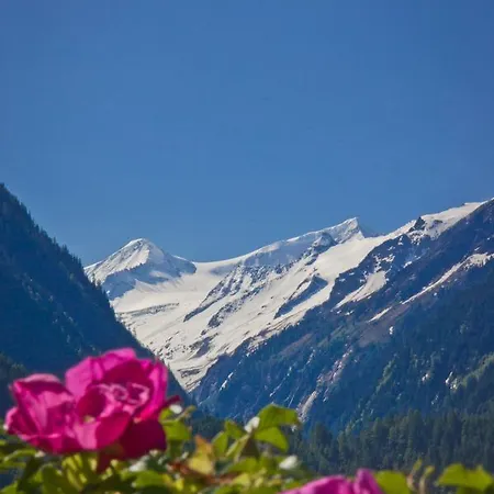 Venedigerblick 3*